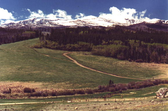 The Bighorns