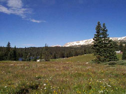 The Snowy Range
